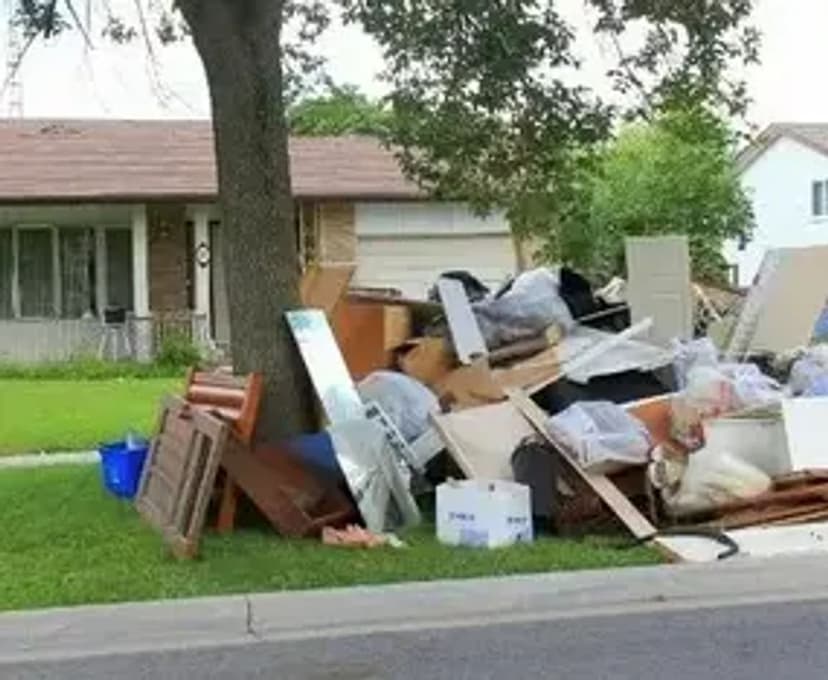 Environmentally Conscious's image